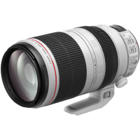 (Lm)Canon  EF100-400mm F4.5-5.6L IS II USM