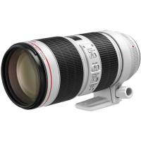 (Lm)Canon  EF70-200mm F2.8L IS III USM