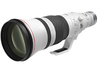 (Lm)Canon  RF600mm F4 L IS USM