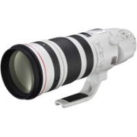 (Lm)Canon  EF200-400mm F4L IS USM GNXe_[ 1.4