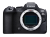 (Lm)Canon EOS R6 MarkII {fB