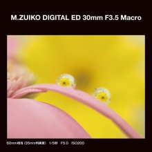 �i�I�[�G���V�X�e���jOM SYSTEM M.ZUIKO DIGITAL ED 30mm F3.5 Macro
