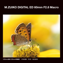 (オーエムシステム)OM SYSTEM M.ZUIKO DIGITAL ED60mm F2.8 Macro