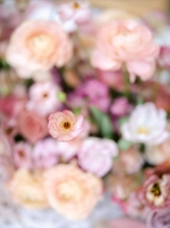 (フジフイルム) FUJIFLIM フジノン GF55mm F1.7 R WR