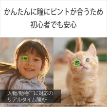 (ソニー) SONY α6400ダブルズームレンズキット ILCE-6400X シルバー