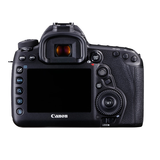 (Lm)Canon EOS 5D MarkIV EF24-105mm F4L IS II USM YLbg