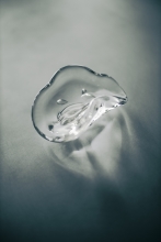 (Lm) Canon RF45mm F1.2 STM