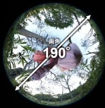 (�L���m��) Canon RF 7-14mm F2.8-3.5 L FISHEYE STM