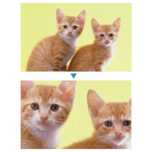 (�L���r��)CABIN �f�W�^���r�f�I�J���� DVC-A1