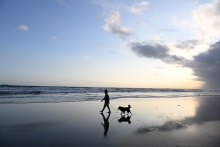 (jR) Nikon NIKKOR Z DX 16-50mm f/2.8 VRqAPS-Cr