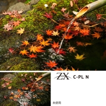 (ケンコートキナー) KenkoTokina PLフィルター 【ZX[ゼクロス] C-PL N】49ｍｍ