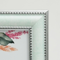 �i�t�W�J���[�jFUJICOLOR �}�[�u���J���[�t���[�� 2701L �~���g�O���[��