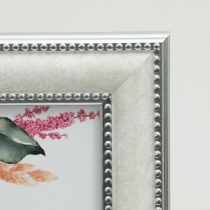 �i�t�W�J���[�jFUJICOLOR �}�[�u���J���[�t���[��  2703L �z���C�g