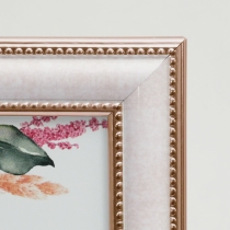 �i�t�W�J���[�jFUJICOLOR �}�[�u���J���[�t���[��   2802K �s���N  2L