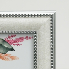 �i�t�W�J���[�jFUJICOLOR �}�[�u���J���[�t���[��    2803K �z���C�g 2L