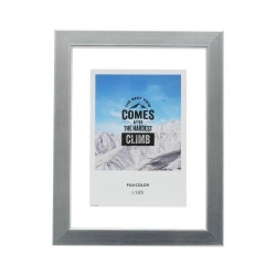 �i�t�W�J���[�jFUJICOLOR �t���[�e�B�t���[�� �V���o�[ L��