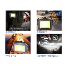 (�G���s�[�G��) LPL  LED���C�gVL-GZ38 L26624