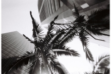 (ロモグラフィー) Lomography Simple Use Film Camera (再利用できるレンズ付フィルム) Black & White 27枚撮り