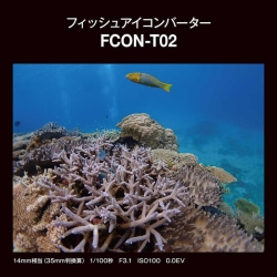 (�I�[�G���V�X�e��) OM SYSTEM �t�B�b�V���A�C�R���o�[�^�[ FCON-T02