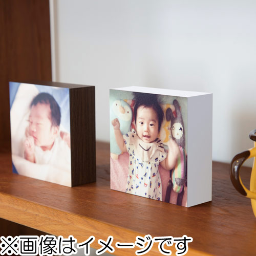 (フジフイルム) FUJIFILM シャコラ（shacolla） 壁タイプ KGサイズ