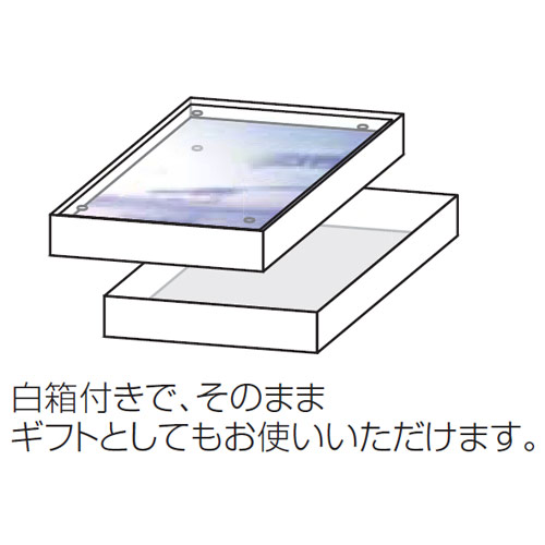 (ナカバヤシ)Nakabayashi フ-ACM-89 アクリルマグネットフレーム ましかく89判