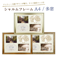 (万丈)VANJOH シャルムフレーム A4 L判4窓マット付きDGD(A106-706)
