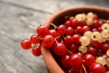 (jR) Nikon NIKKOR Z DX 16-50mm f/2.8 VRqAPS-Cr