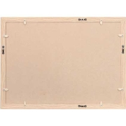 (PR[gLi[)KenkoTokina OCXEMiui~Ej A3/B3p AC{[ JGM-A3-IV