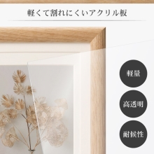  (nNo) HAKUBA  tHgt[ ArcoiARjL^KG^2LTCY FWAR-LNT	