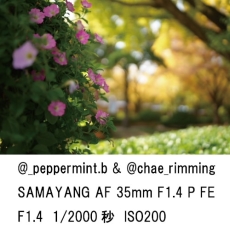 (サムヤン) SAMYANG AF 35mm F1.4 P FE ソニーFE ※2025.1発売