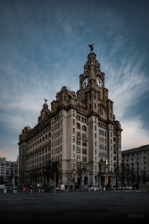 �i���I���jLAOWA   20mm F4 Zero-D Shift�yCanon RF�z