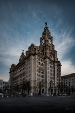 �i���I���jLAOWA   20mm F4 Zero-D Shift�yNikon Z�z