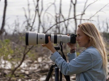 (ソニー) SONY FE 400-800mm F6.3-8 G OSS 2025年3月19日発売予定