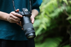 (キヤノン) Canon RF75-300mm F4-5.6 ※2025年5月発売