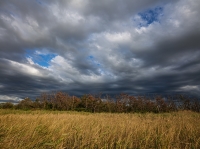 (pi\jbN)Panasonic LUMIX S PRO 16-35mm F4 [S-R1635] kϳ