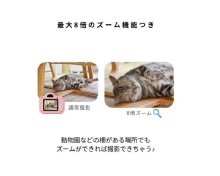 i~jsNjMiNiPiC LbYJ MiNiPiC-PB-O pXeu[