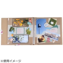 (����) VANJOH KAZARU�A���o��12�C���`