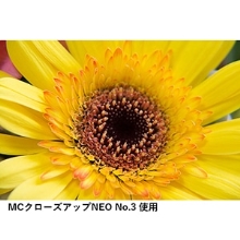 (ケンコートキナー) KenkoTokina49 S MC クローズアップ NEO NO3