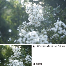  (PR[gLi[)KenkoTokina zCg~Xg No.05  y55z