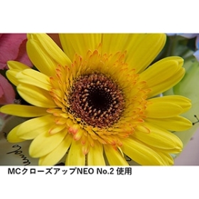 (ケンコートキナー) KenkoTokina 55 S MCクローズアップ NEO NO2