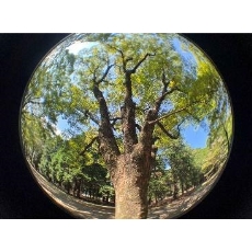  (�P���R�[�g�L�i�[)KenkoTokina �G�O�U�v�� �N���b�v�����Y �t�B�b�V���A�C EXP-CLFE