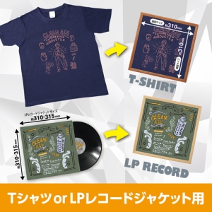(ハクバ)HAKUBA Tシャツ・LPレコード額 TRG-01 ナチュラル FWTRG-01NT