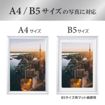 (ハクバ)HAKUBA アルミ額縁 PEORIA+(ペオリア プラス) 【A4/B5サイズ】 シルバー