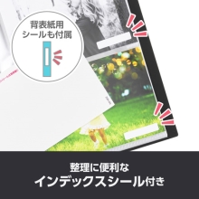 (nNo)HAKUBA tHgAo r[gNA 2LTCY 160[ ubN