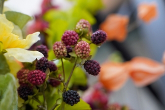 (�T������) LK SAMYANG AF 24-60mm F2.8 FE  �\�j�[FE