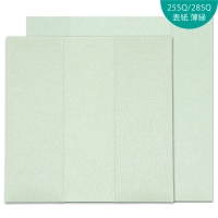 (竹野)TAKENO 232-0003 デジタル表紙 悠華 25SQ 薄緑