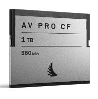 (エンジェルバード)Angelbird AV PRO CF 1TB CFast 2.0 プロ機器用記録メディア