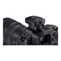 (キヤノン) Canon スピードライトトランスミッター ST-E10