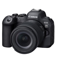 (Lm)Canon EOS R6 MarkII RF24-105 F4-7.1 IS STMZbg