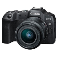 (キヤノン)Canon EOS R8 ボディ+RF24-50 IS STMキット ※2025.3.10値下げ